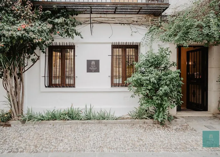 Patio De La Muralla قرطبة